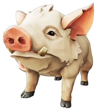 pig